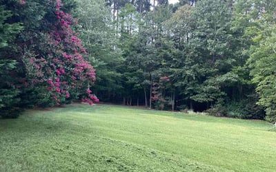 Photo of Boniface A.'s yard after getting lawn care in Newton, NC