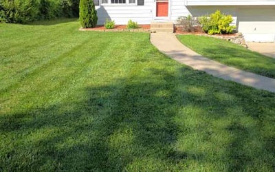 Photo of Ken A.'s yard after getting lawn care in Higginsville, MO