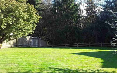 Photo of Marisa R.'s yard after getting lawn care in Arlington, WA