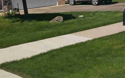 Photo of Katie S.'s yard after getting lawn care in San Juan Capistrano, CA