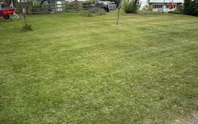 Photo of Tara T.'s yard after getting lawn care in Kittanning, PA