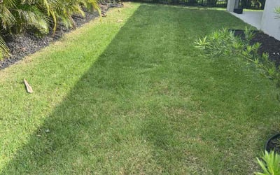 Photo of Ashley R.'s yard after getting lawn care in Pottsville, PA