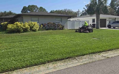 Photo of Bryan B.'s yard after getting lawn care in Dunedin, FL