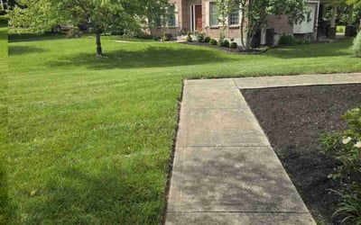 Photo of Julia M.'s yard after getting lawn care in Virginia Beach, VA