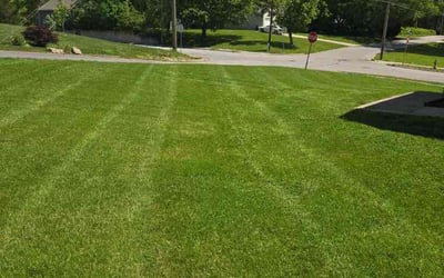 Photo of Keanu R.'s yard after getting lawn care in Belton, MO