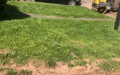 Photo of Lauren K.'s yard after getting lawn care in Waterloo, IA