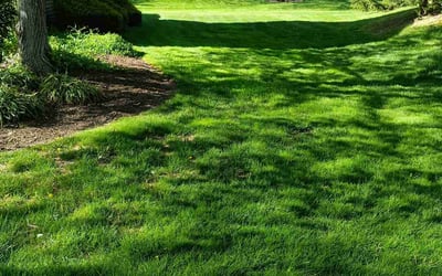 Photo of J. Richard (Rick) M.'s yard after getting lawn care in Hatfield, PA