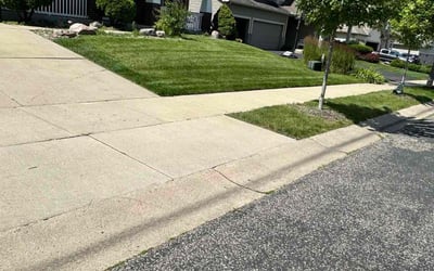 Photo of Terri C.'s yard after getting lawn care in Chaska, MN