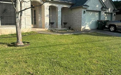 Photo of Joseph F.'s yard after getting lawn care in San Marcos, TX