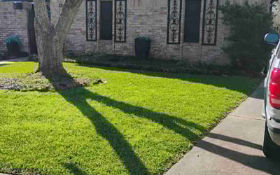 Photo of Alexis W.'s yard after getting lawn care in Post Falls, ID