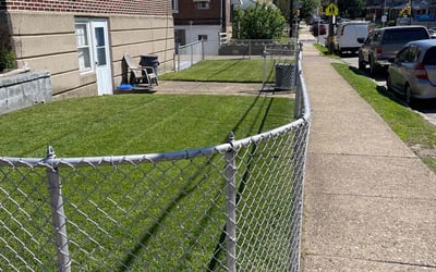 Photo of Pat R.'s yard after getting lawn care in Darby, PA