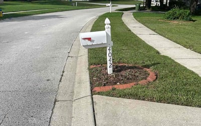 Photo of Lareina C.'s yard after getting lawn care in Dade City, FL