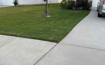 Photo of Danielle S.'s yard after getting lawn care in Gainesville, GA