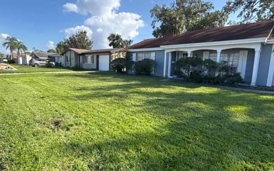 Photo of Nico O.'s yard after getting lawn care in New Port Richey, FL