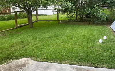 Photo of Adelaida V.'s yard after getting lawn care in Aurora, IL