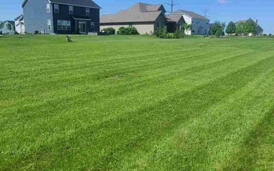 Photo of Diana K.'s yard after getting lawn care in Shorewood, IL