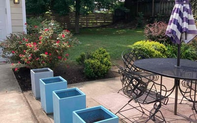 Photo of Jeremiah M.'s yard after getting lawn care in Versailles, KY