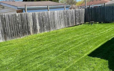 Photo of Eurman A.'s yard after getting lawn care in Mount Clemens, MI