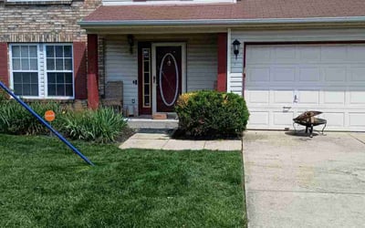 Photo of Tatiana S.'s yard after getting lawn care in Upper Marlboro, MD