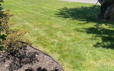 Photo of Melanie B.'s yard after getting lawn care in Farmingville, NY