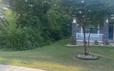 Photo of Kathy L.'s yard after getting lawn care in York, SC