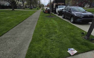 Photo of Gina F.'s yard after getting lawn care in Brookpark, OH