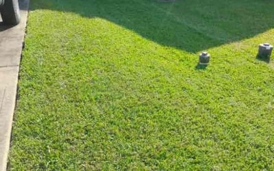 Photo of Max O.'s yard after getting lawn care in Dickinson, TX