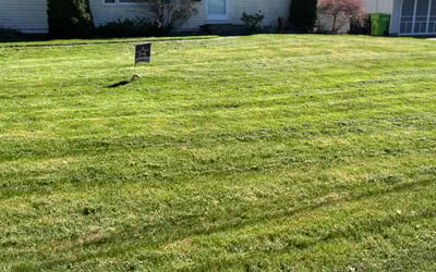 Photo of Angie W.'s yard after getting lawn care in Canastota, NY