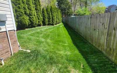 Photo of Kiara A.'s yard after getting lawn care in Clarksville, TN
