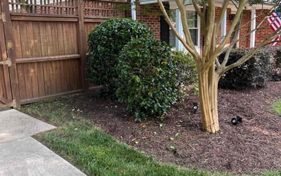 Photo of Cameron M.'s yard after getting lawn care in Charlotte, NC