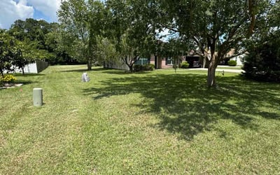 Photo of David E.'s yard after getting lawn care in Yulee, FL