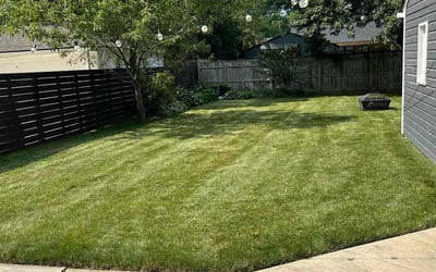 Photo of Tom D.'s yard after getting lawn care in Birmingham, MI