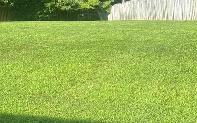 Photo of Terri S.'s yard after getting lawn care in Auburn, CA