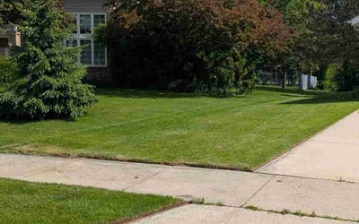 Photo of Dru S.'s yard after getting lawn care in Oak Creek, WI
