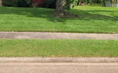 Photo of Tawanna B.'s yard after getting lawn care in Bossier City, LA