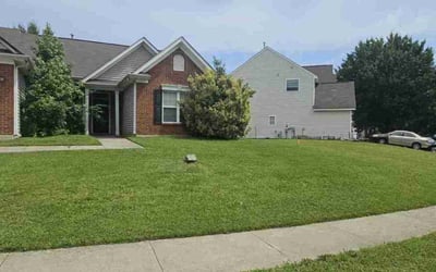 Photo of Lisa C.'s yard after getting lawn care in Colorado Springs, CO