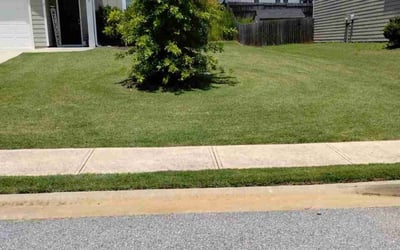 Photo of Paula J.'s yard after getting lawn care in Jonesborough, TN