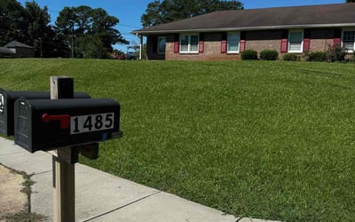 Photo of Antonious M.'s yard after getting lawn care in Norcross, GA