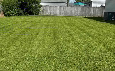 Photo of Samantha P.'s yard after getting lawn care in Abingdon, VA