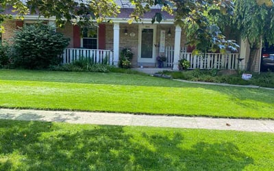 Photo of Syed H.'s yard after getting lawn care in Greendale, WI