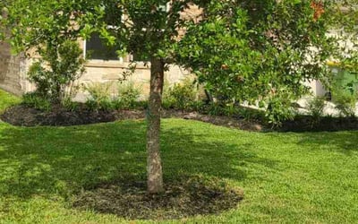 Photo of Rose S.'s yard after getting lawn care in Potomac, MD