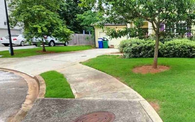 Photo of Adam C.'s yard after getting lawn care in Cleveland, TN