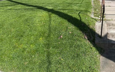 Photo of Iris j.'s yard after getting lawn care in Midland, PA
