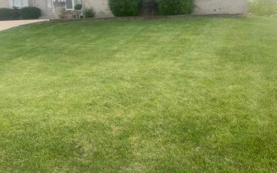 Photo of Stanley W.'s yard after getting lawn care in Fairview Heights, IL