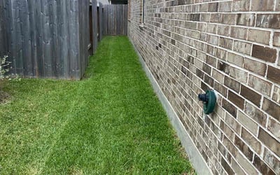 Photo of Tia M.'s yard after getting lawn care in Ashland, MA