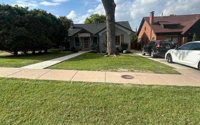 Photo of Michelle J.'s yard after getting lawn care in Riverdale, GA