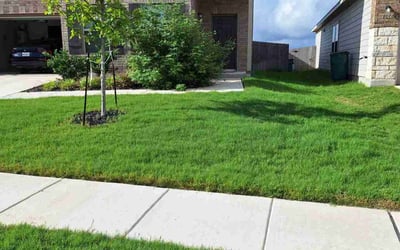 Photo of Chad H.'s yard after getting lawn care in Von Ormy, TX