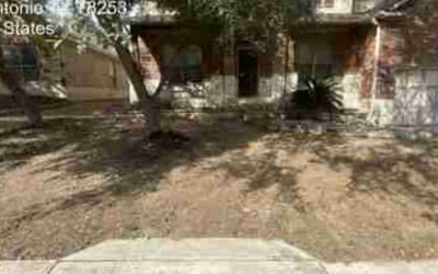 Photo of Cassandra V.'s yard after getting tree care in Annandale, VA