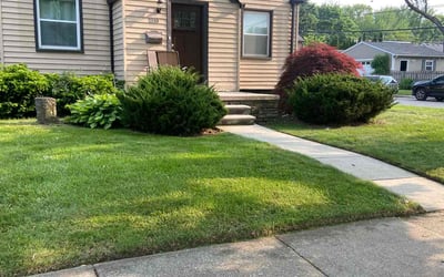Photo of Himmlar R.'s yard after getting lawn care in Groveland, FL