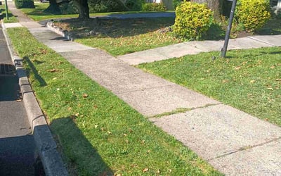 Photo of Angel O.'s yard after getting lawn care in Jenkintown, PA